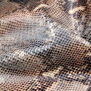 reptile - a fake snakeskin material