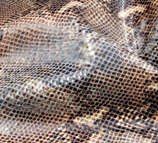 reptile - a fake snakeskin material